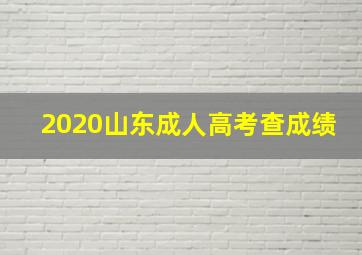 2020山东成人高考查成绩