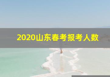 2020山东春考报考人数