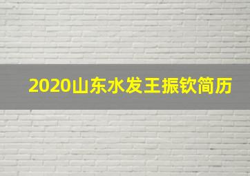 2020山东水发王振钦简历