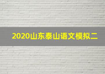 2020山东泰山语文模拟二