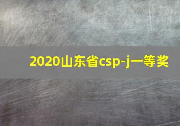 2020山东省csp-j一等奖