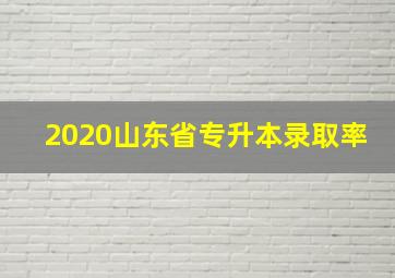 2020山东省专升本录取率