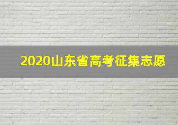 2020山东省高考征集志愿