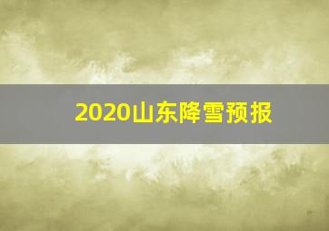 2020山东降雪预报