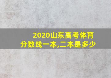 2020山东高考体育分数线一本,二本是多少