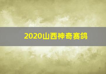 2020山西神奇赛鸽