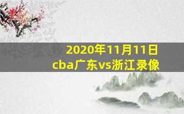 2020年11月11日cba广东vs浙江录像