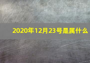 2020年12月23号是属什么