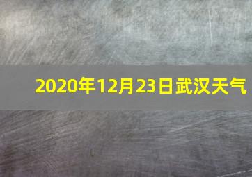 2020年12月23日武汉天气