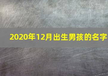 2020年12月出生男孩的名字