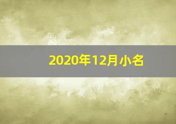 2020年12月小名