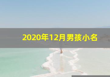 2020年12月男孩小名