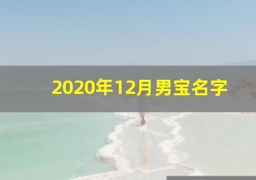 2020年12月男宝名字