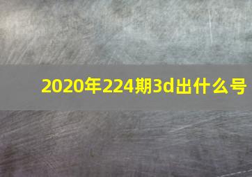 2020年224期3d出什么号