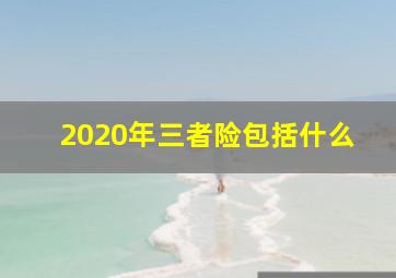 2020年三者险包括什么