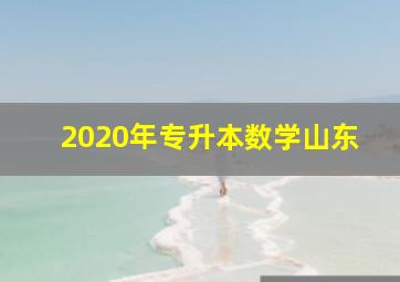 2020年专升本数学山东