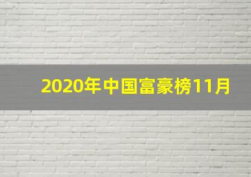 2020年中国富豪榜11月