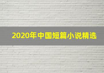 2020年中国短篇小说精选