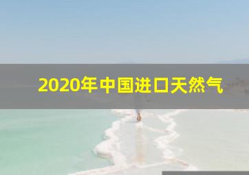 2020年中国进口天然气