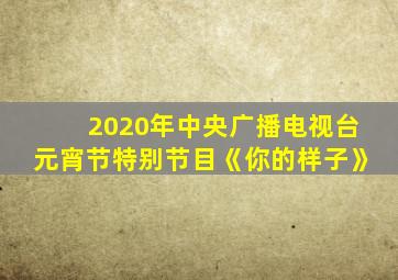 2020年中央广播电视台元宵节特别节目《你的样子》