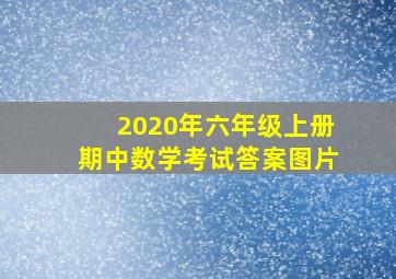 2020年六年级上册期中数学考试答案图片