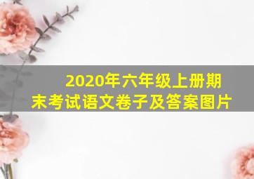 2020年六年级上册期末考试语文卷子及答案图片