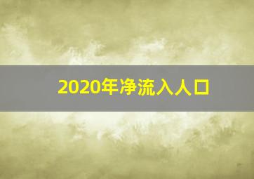 2020年净流入人口