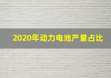 2020年动力电池产量占比