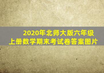 2020年北师大版六年级上册数学期末考试卷答案图片