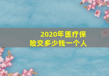 2020年医疗保险交多少钱一个人