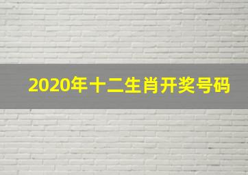 2020年十二生肖开奖号码