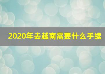 2020年去越南需要什么手续