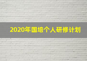 2020年国培个人研修计划