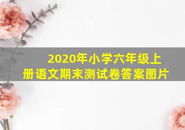 2020年小学六年级上册语文期末测试卷答案图片