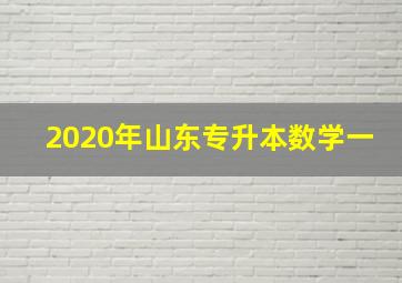 2020年山东专升本数学一