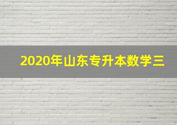 2020年山东专升本数学三