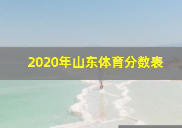 2020年山东体育分数表