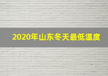 2020年山东冬天最低温度