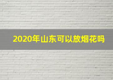 2020年山东可以放烟花吗