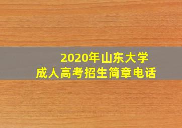 2020年山东大学成人高考招生简章电话