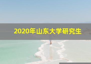 2020年山东大学研究生