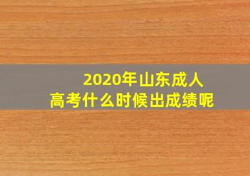 2020年山东成人高考什么时候出成绩呢