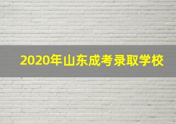 2020年山东成考录取学校