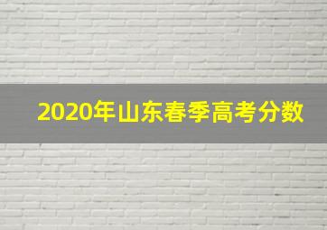 2020年山东春季高考分数