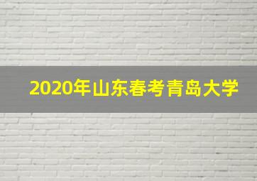 2020年山东春考青岛大学