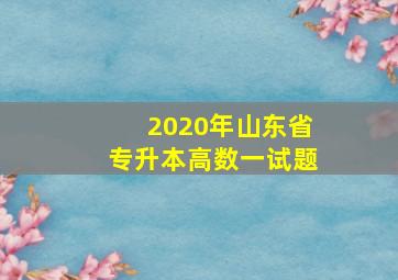 2020年山东省专升本高数一试题