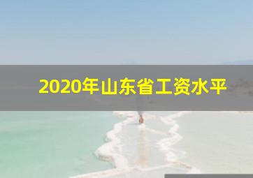 2020年山东省工资水平