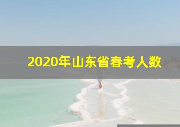 2020年山东省春考人数