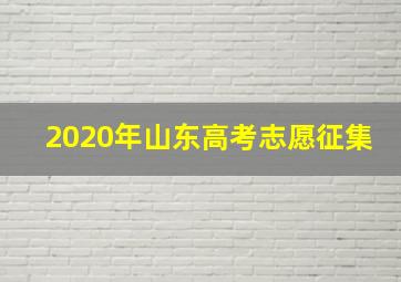 2020年山东高考志愿征集