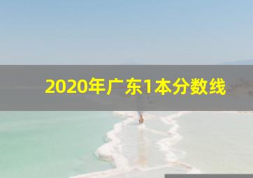 2020年广东1本分数线